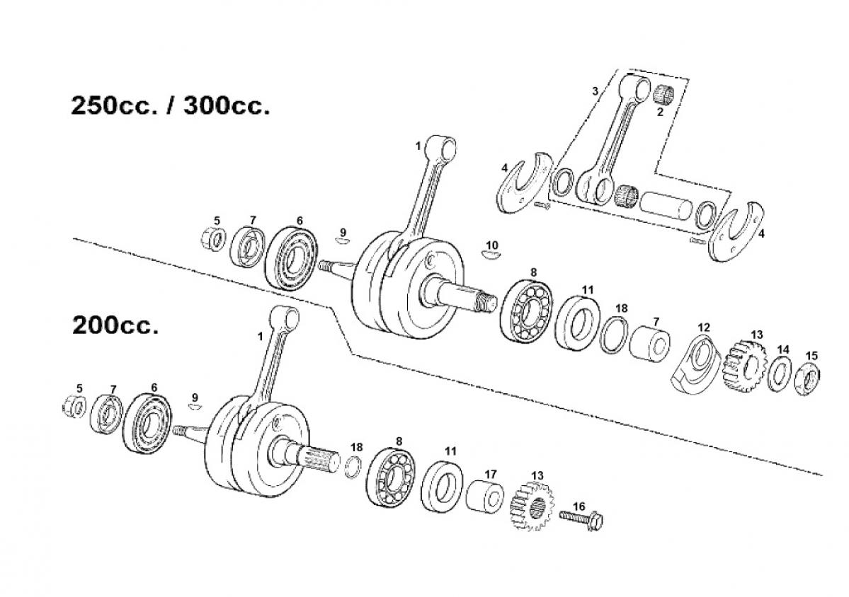 ec-mc-2010-125cc-ciguenal-200-250-300.jpg