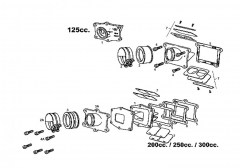 ec-mc-2008-125cc-soupape-a-clapets.jpg