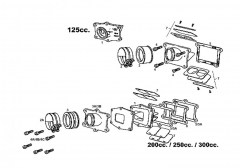 ec-mc-2010-125cc-soupape-a-clapets.jpg