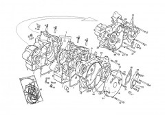 ec-racing-2011-125cc-carter-de-motor-250-300.jpg