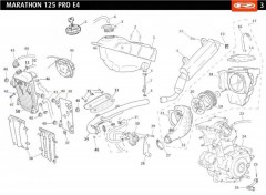 marathon-125-e4-pro-2017-blanc-reservoir-dessence-echappement-radiateur.jpg