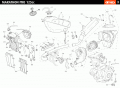 marathon-125-pro-2009-blanc-reservoir-echappement-radiateur.gif