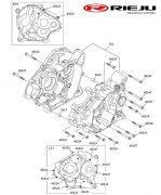 marathon-125-pro-e5-2022-blanc-puisard