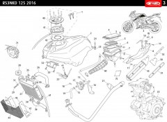 rs3-125-naked-2016-vert-reservoir-dessence-echappement-radiateur.jpg