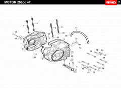 tango-250-2009-grey-carter-moteur.gif