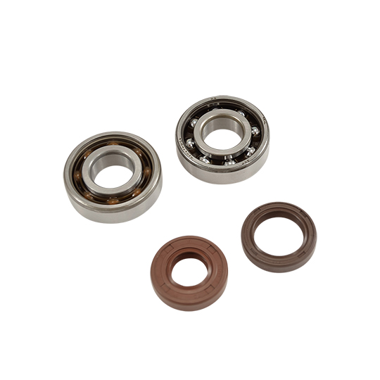 kit_roulements_c4_et_joints_spi_am6_20mm-c488824.jpg