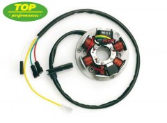 stator-am6-minarelli-top-perf-rieju.jpg